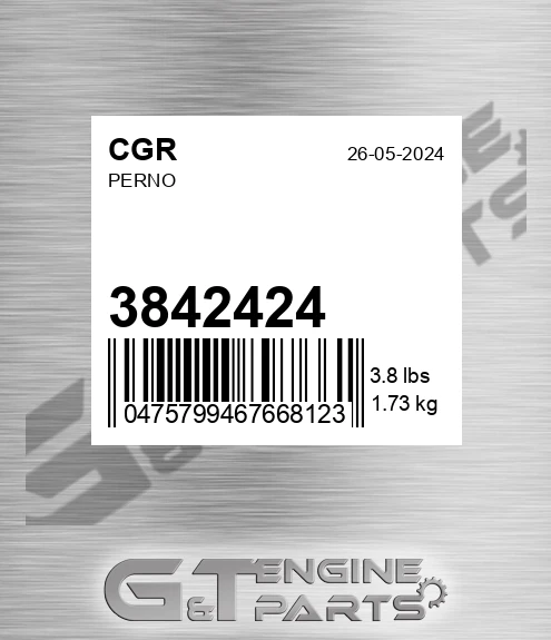 3842424 CGR Perno