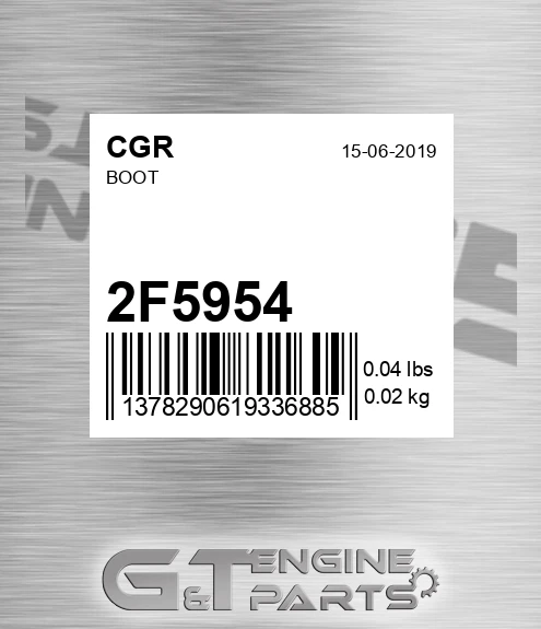 2F5954 CGR Boot