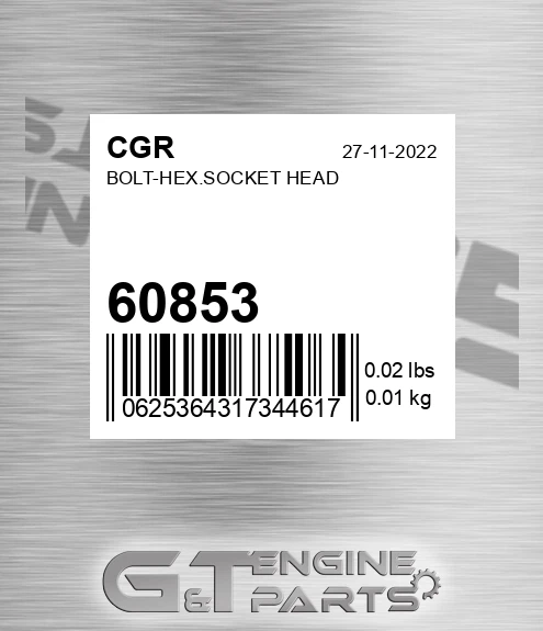 60853 Bolt-hex.socket Head