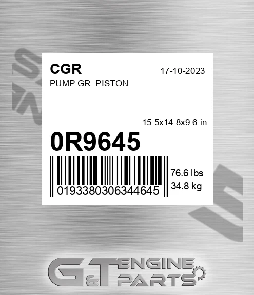 0R9645 Pump Gr. Piston