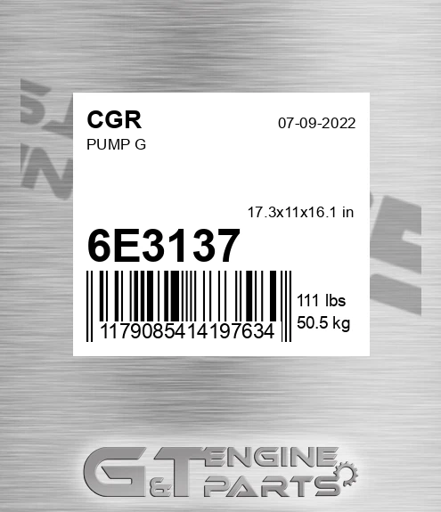 6E3137 Pump G