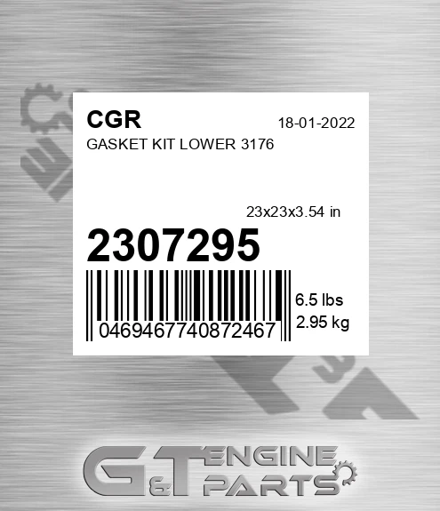 2307295 Gasket Kit Lower 3176 for CGR