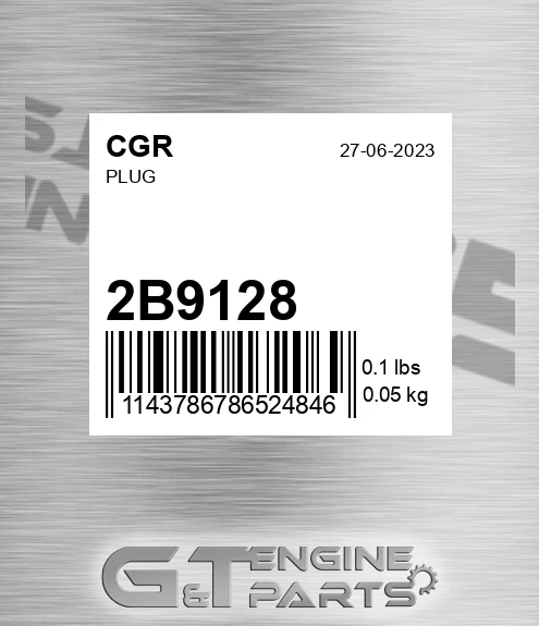 2B9128 Plug
