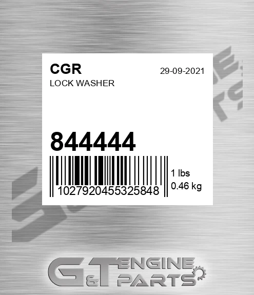 844444 Lock Washer