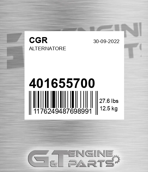 401655700 Alternatore