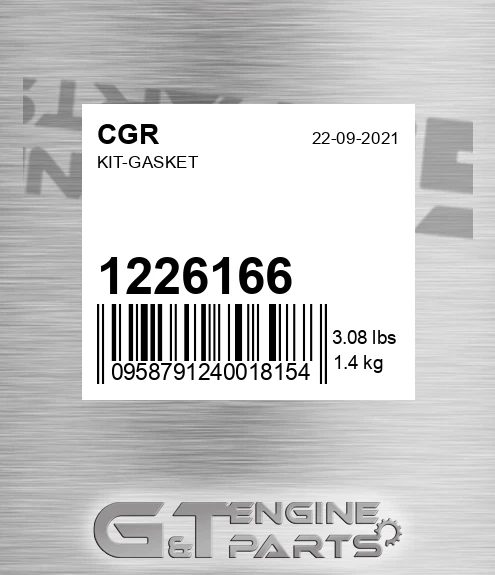 1226166 Kit-gasket