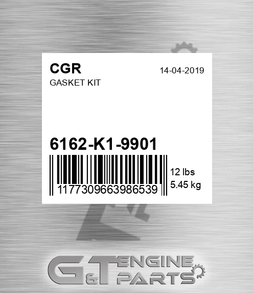 6162-K1-9901 Gasket Kit