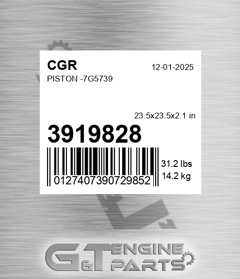 3919828 Piston -7g5739