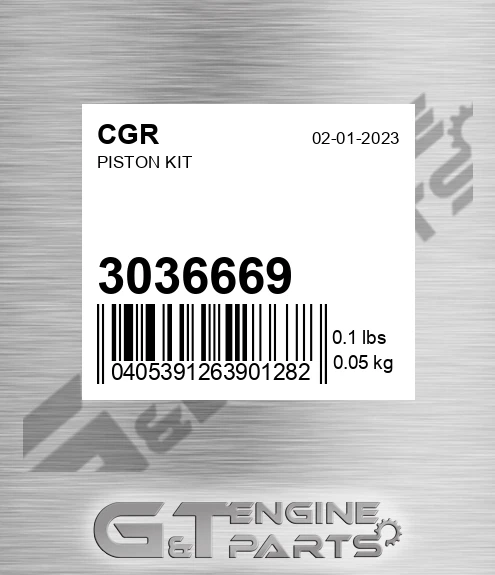 3036669 Piston Kit