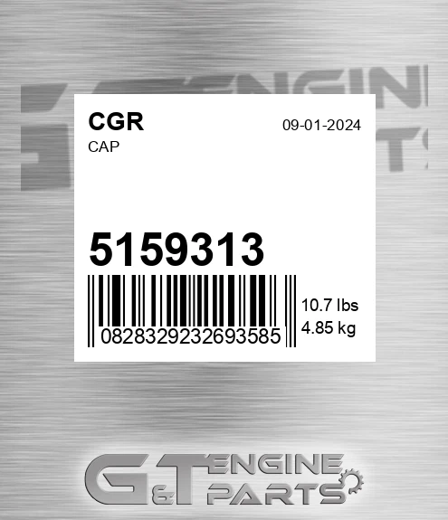 5159313 Cap