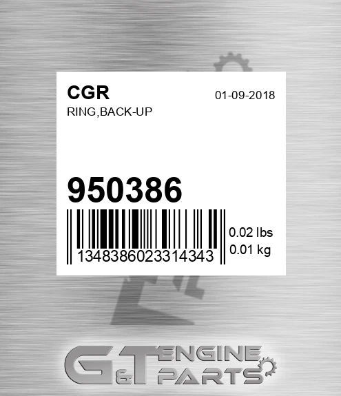 950386 Ring,back-up
