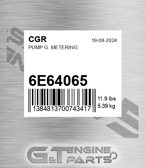 6E64065 CGR Pump G. Metering