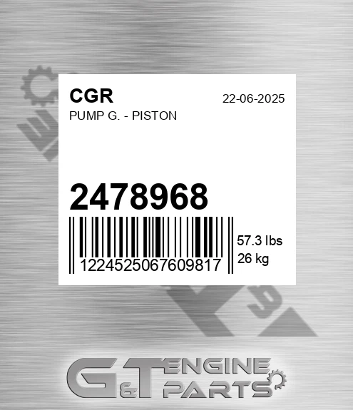 2478968 Pump G. - Piston