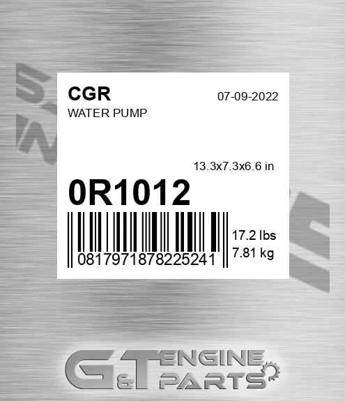 0R1012 Water Pump