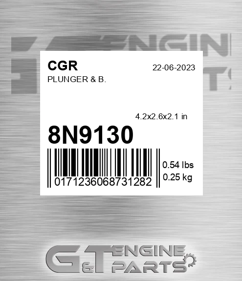 8N9130 Plunger & B. for CGR