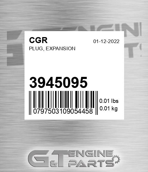 3945095 Plug, Expansion