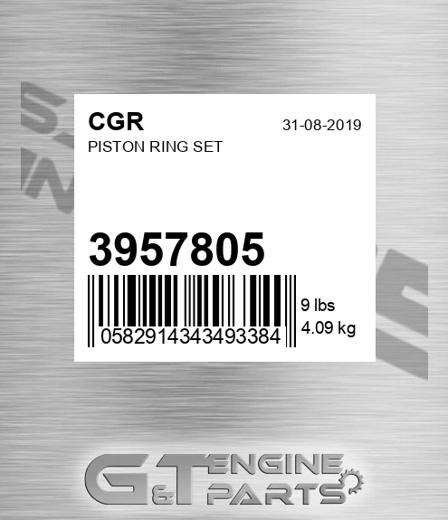 3957805 Piston Ring Set