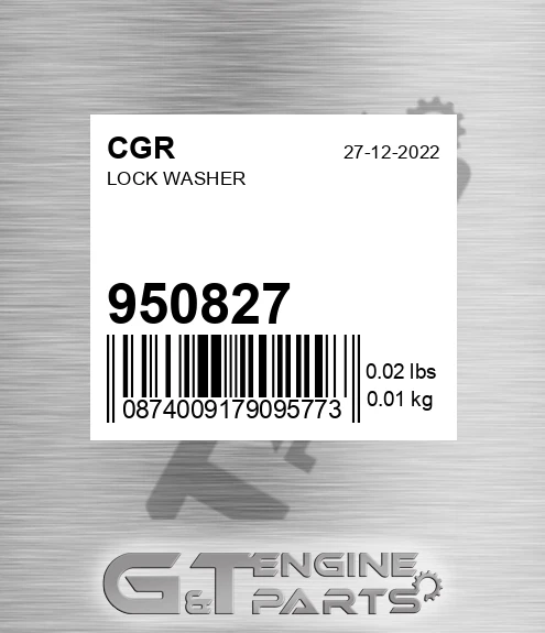 950827 Lock Washer