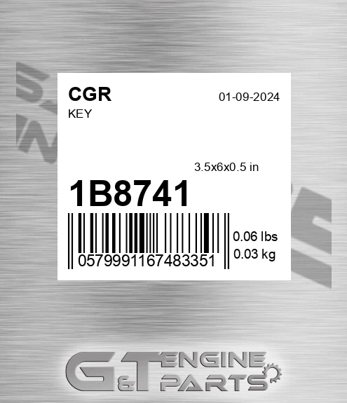 1B8741 Key