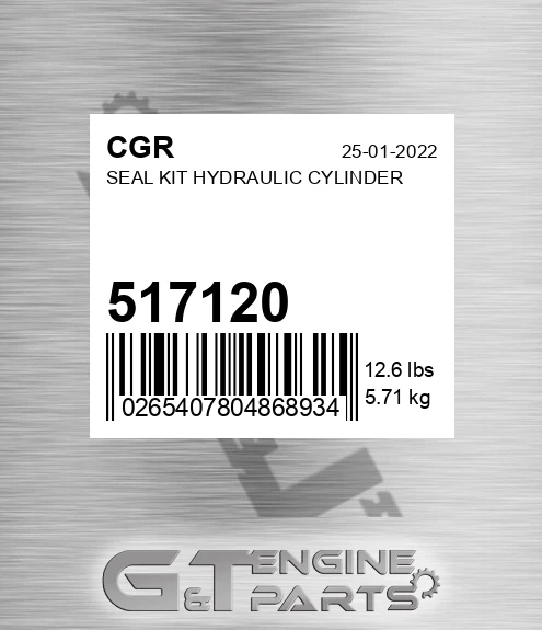 517120 Seal Kit Hydraulic Cylinder