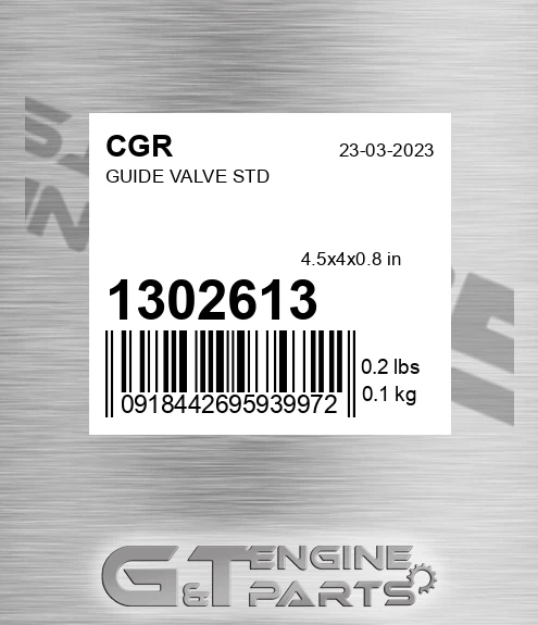 1302613 Guide Valve Std