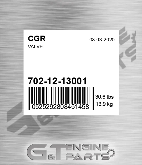 702-12-13001 Valve for CGR