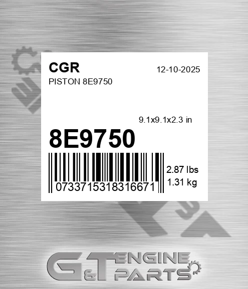 8E9750 Piston