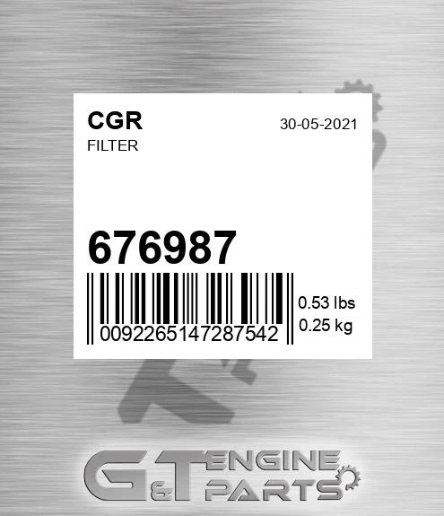 676987 Filter
