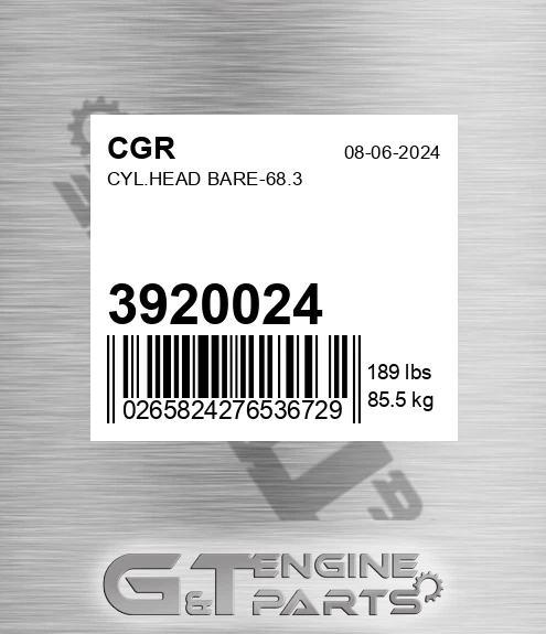 3920024 Cyl.head Bare-68.3