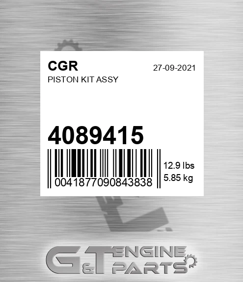 4089415 Piston Kit Assy