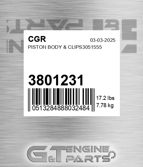 3801231 Piston Body & Clips3051555