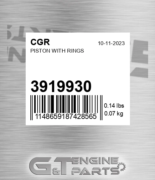 3919930 CGR Piston With Rings
