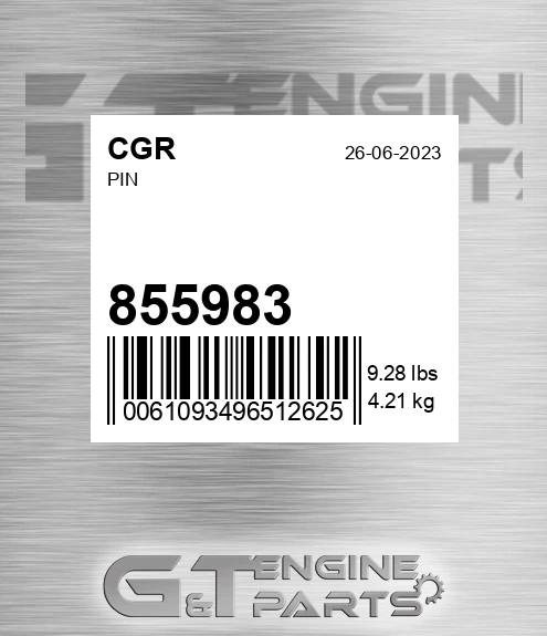 855983 Pin
