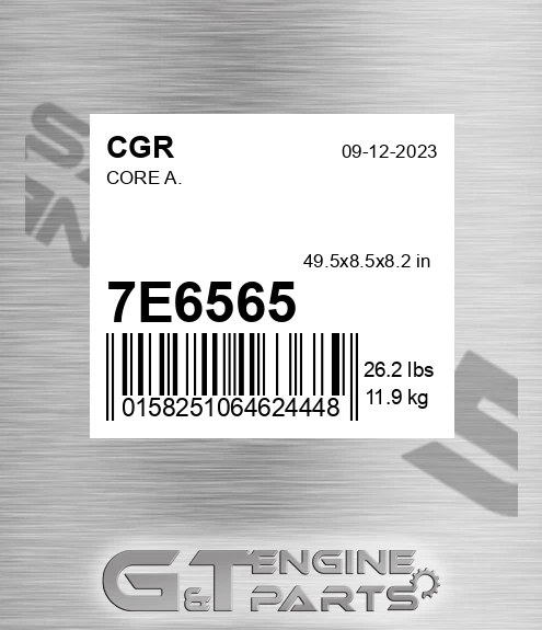 7E6565 Core A.