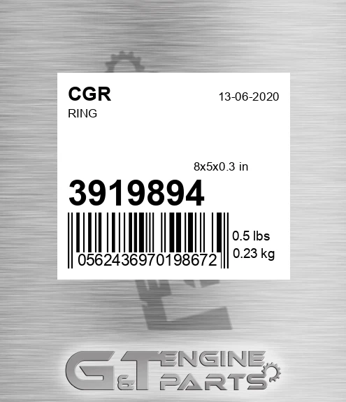 3919894 Ring for CGR