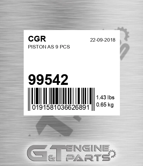 99542 Piston As 9 Pcs