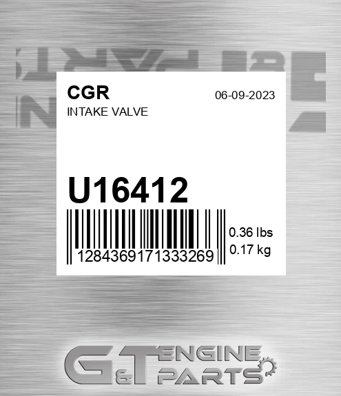 U16412 CGR Intake Valve