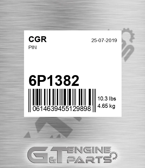 6P1382 Pin