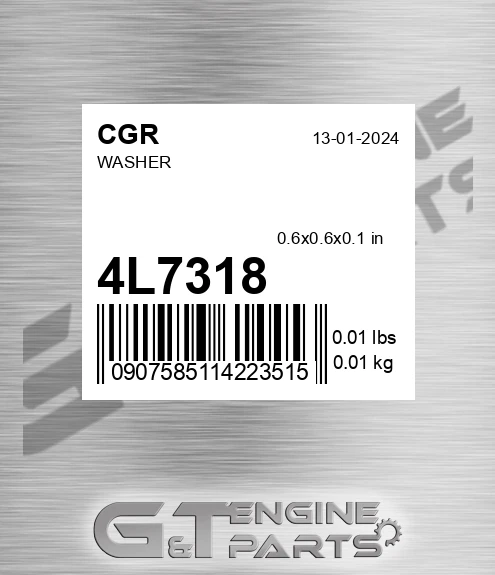 4L7318 Washer for CGR