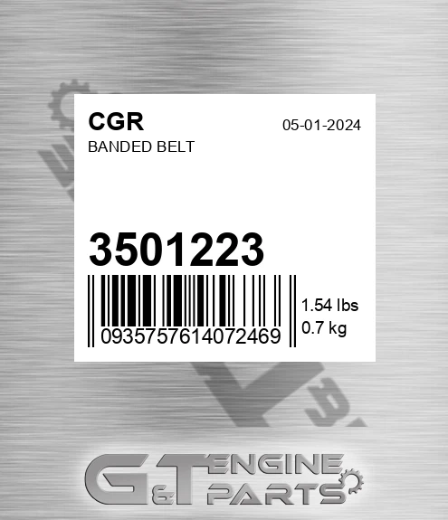 3501223 CGR Banded Belt