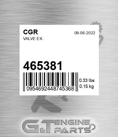 465381 CGR Valve Ex.