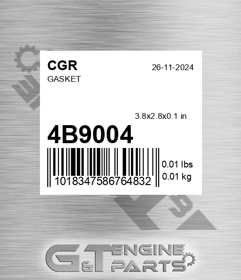 4B9004 Gasket