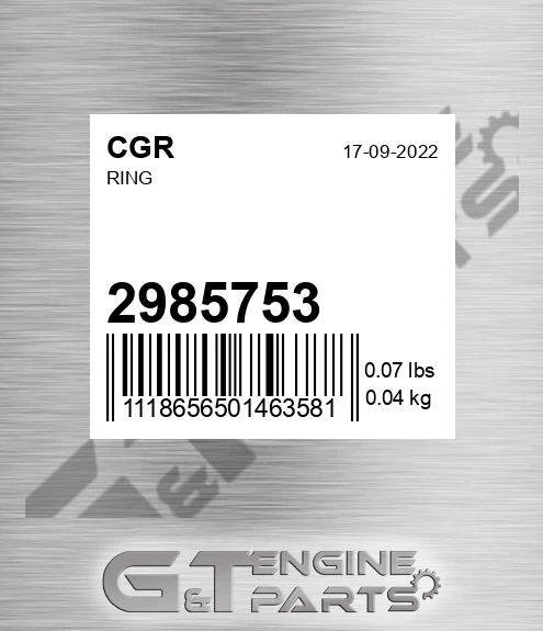 2985753 Ring
