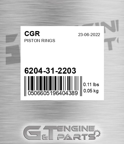 6204-31-2203 Piston Rings