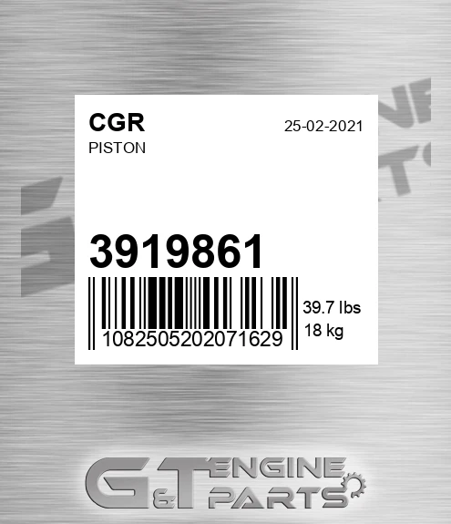 3919861 CGR Piston