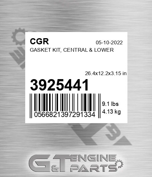 3925441 Gasket Kit, Central & Lower