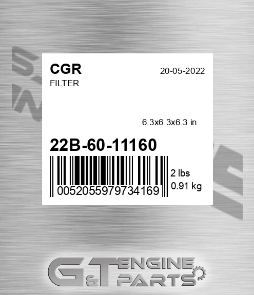 22B-60-11160 Filter