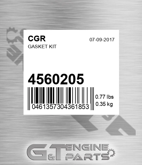 4560205 Gasket Kit