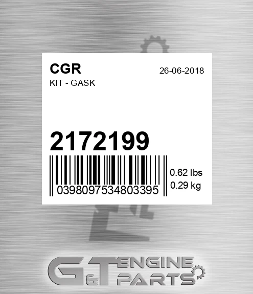 2172199 Kit - Gask