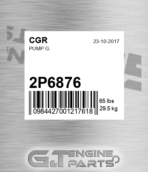 2P6876 CGR Pump G.